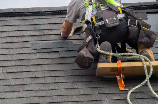 Roof Gutter Cleaning in Middletown, VA