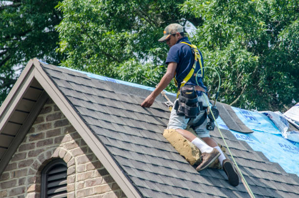 Best Shingle Roofing Installation  in Middletown, VA